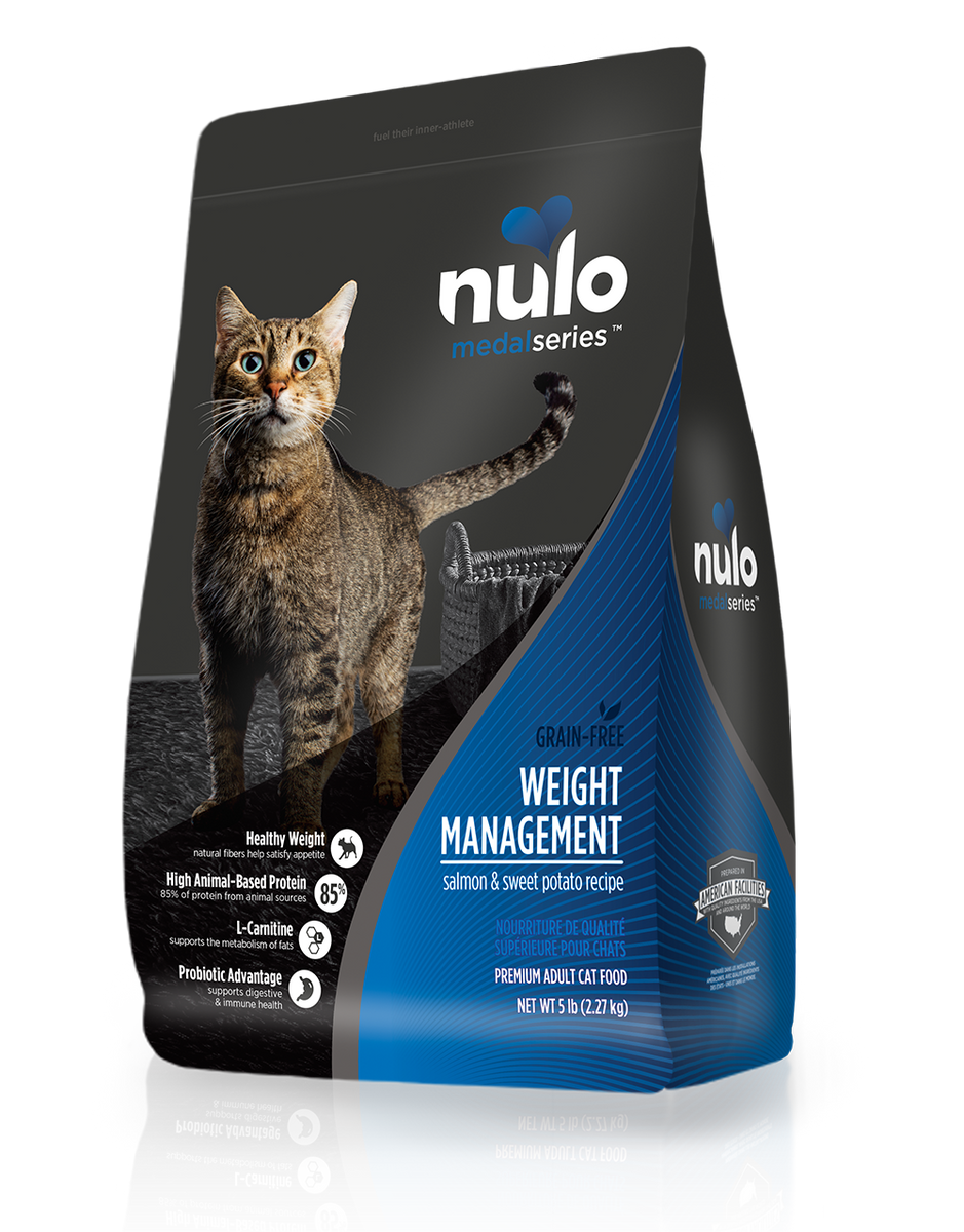 Overweight management cat outlet food